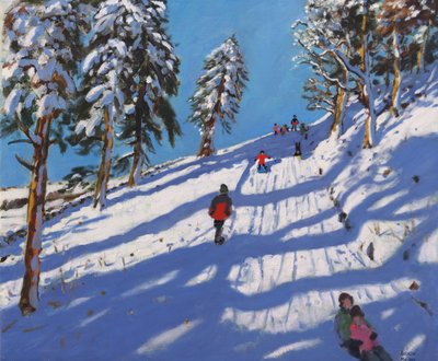 Schlittenfahren, Hillside, Glossop, 2015 von Andrew Macara